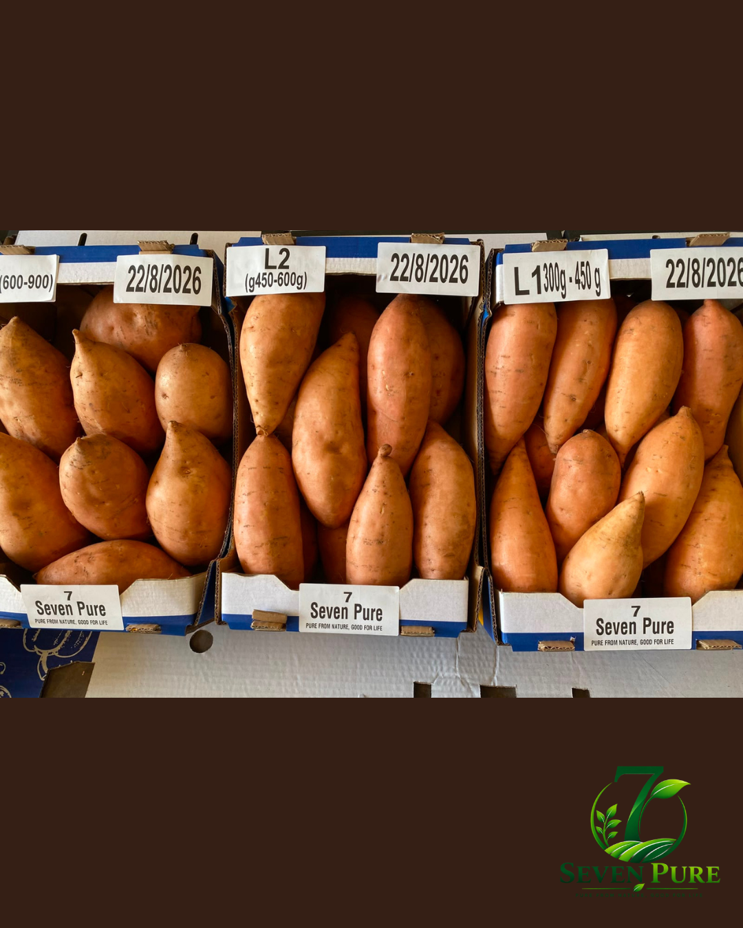Egyptian produce